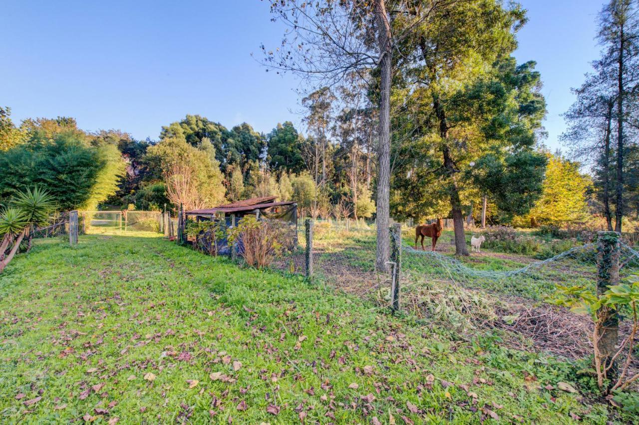 Casa Do Moinho Rural Campo E Praia , 9 Pessoas, Animais Benvindos Espinho  Bagian luar foto