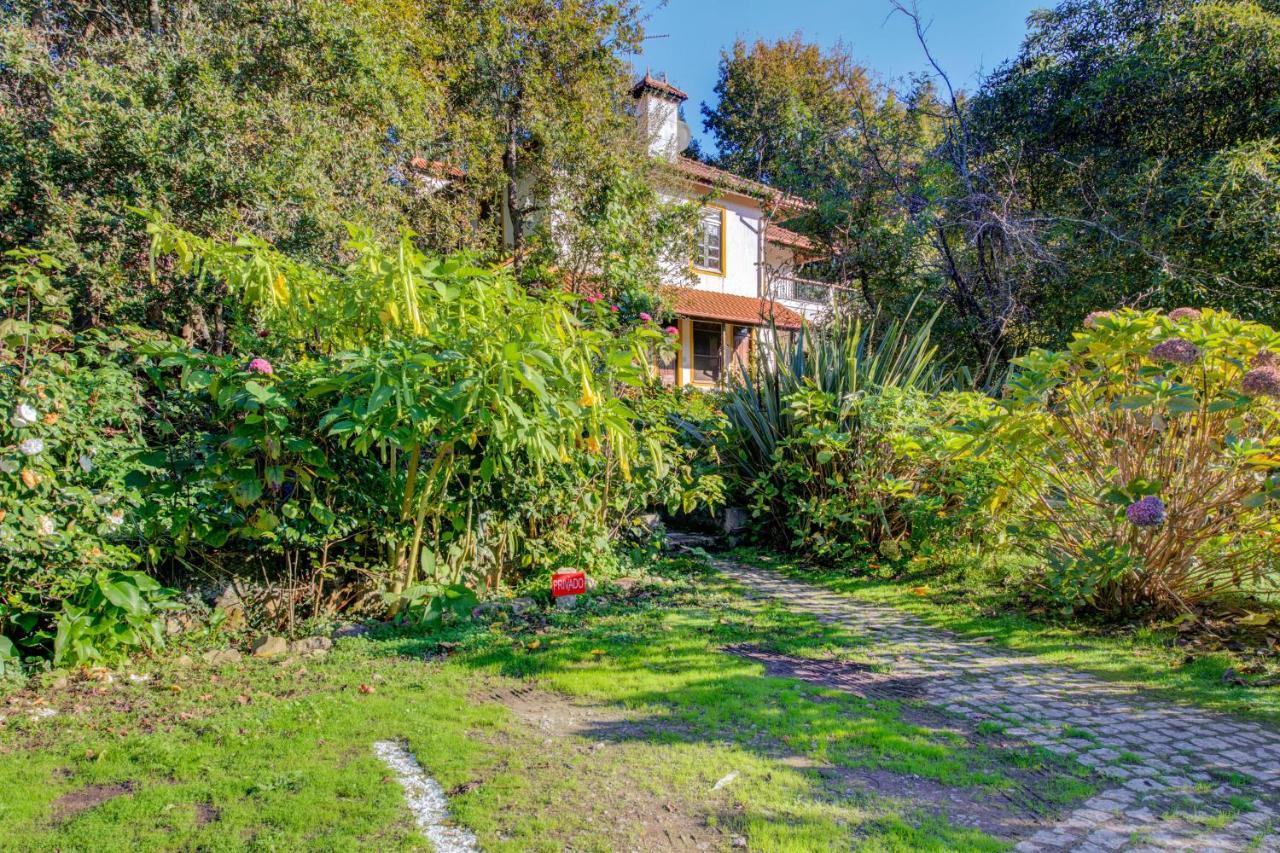 Casa Do Moinho Rural Campo E Praia , 9 Pessoas, Animais Benvindos Espinho  Bagian luar foto