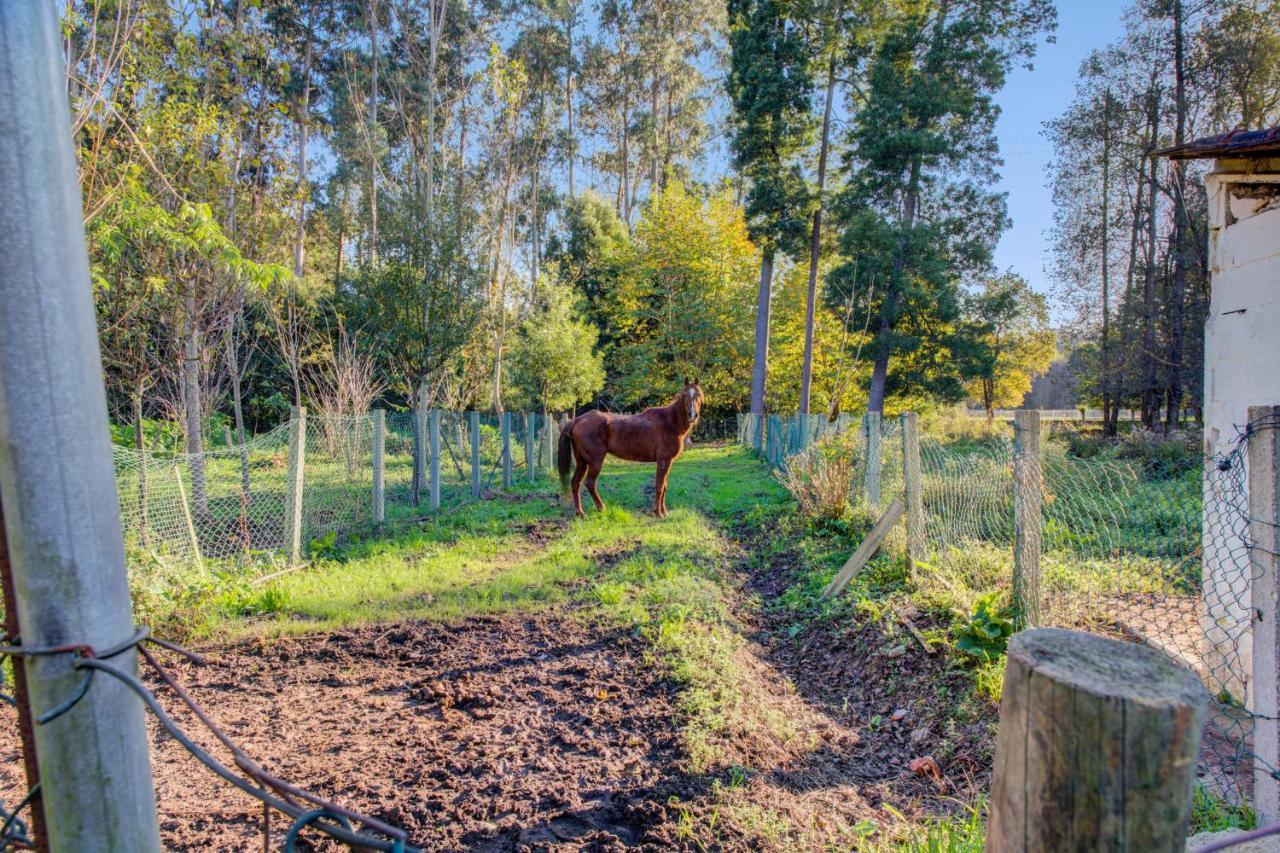 Casa Do Moinho Rural Campo E Praia , 9 Pessoas, Animais Benvindos Espinho  Bagian luar foto